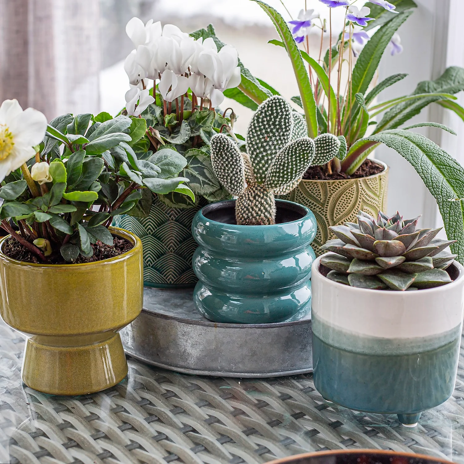 Crackle Leaf Indoor Plant Pot - 12cm 10 Crackle Leaf Indoor Plant Pot - 12cm - Image 10