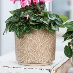 Crackle Leaf Indoor Plant Pot - 12cm 15 Crackle Leaf Indoor Plant Pot - 12cm -Garden Care Tools Deals Store 14197410 2105024191396266