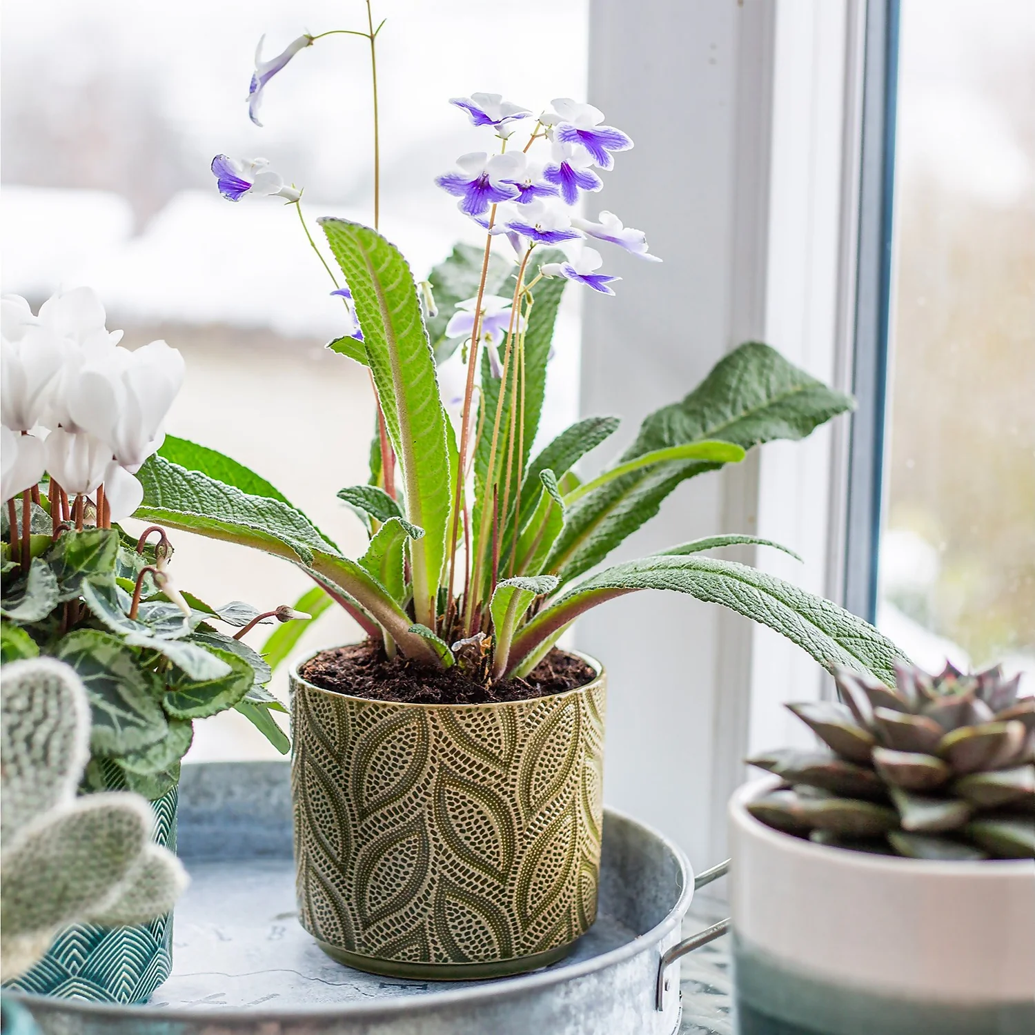 Crackle Leaf Indoor Plant Pot - 12cm 8 Crackle Leaf Indoor Plant Pot - 12cm - Image 8