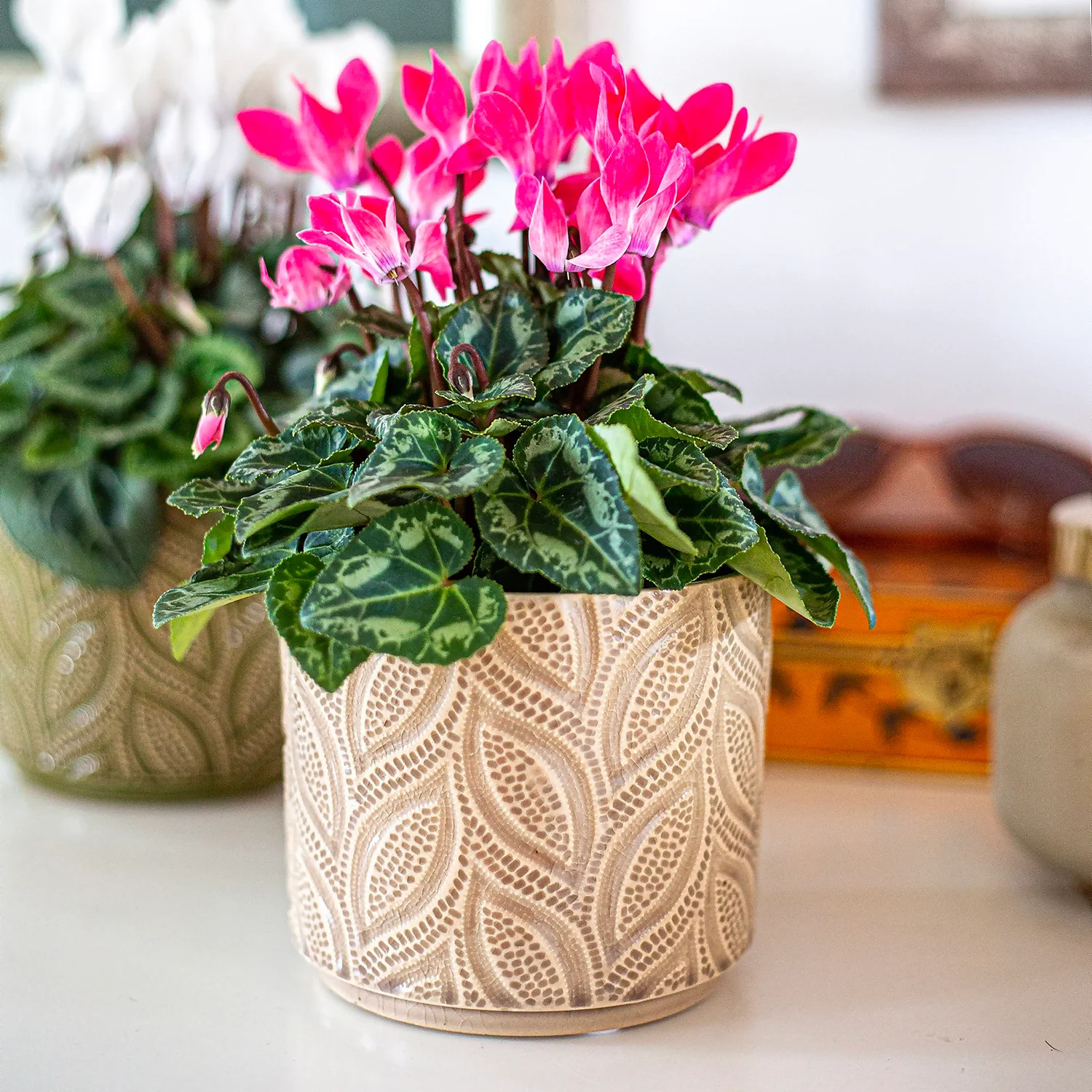 Crackle Leaf Indoor Plant Pot - 12cm 2 Crackle Leaf Indoor Plant Pot - 12cm - Image 2