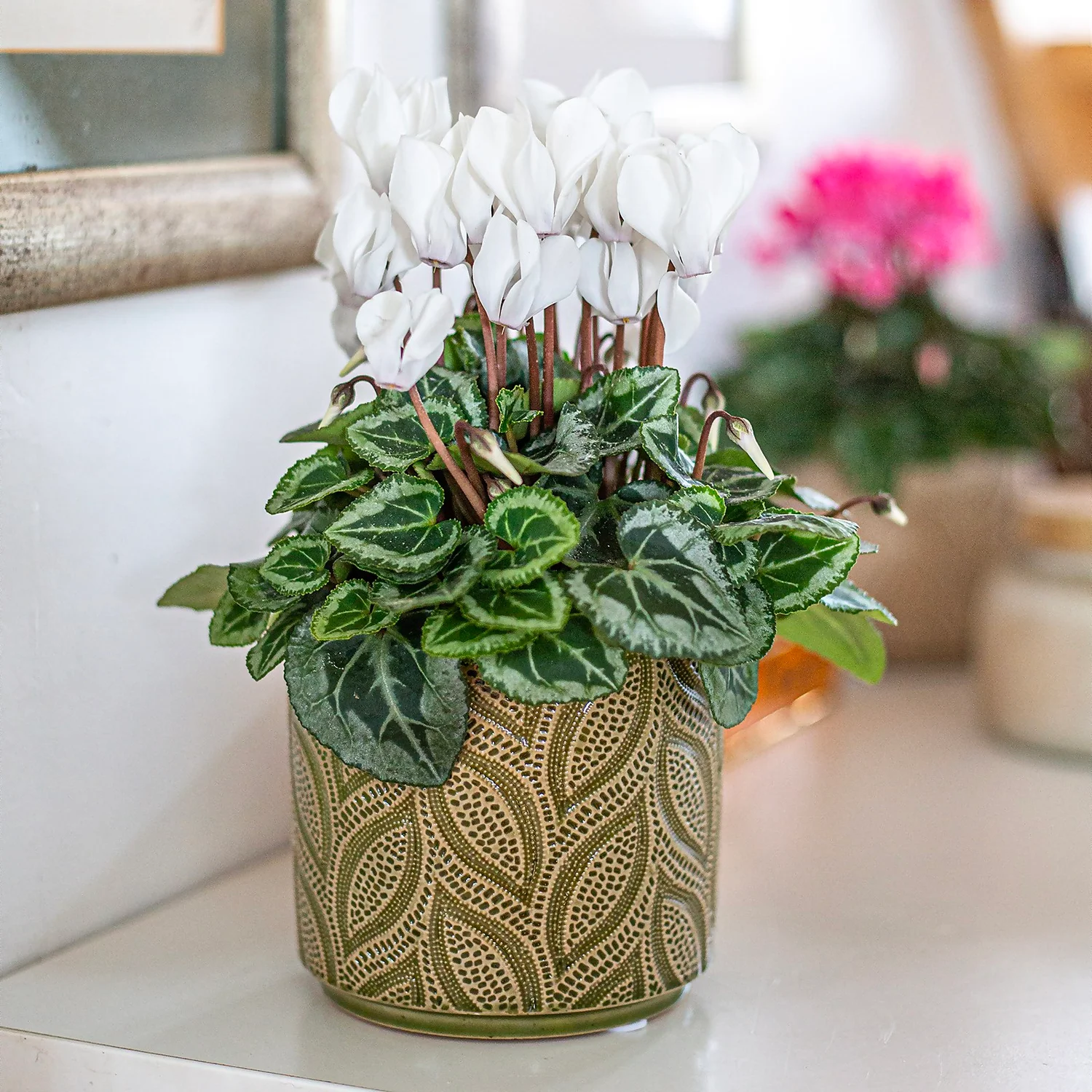 Crackle Leaf Indoor Plant Pot - 12cm 5 Crackle Leaf Indoor Plant Pot - 12cm - Image 5