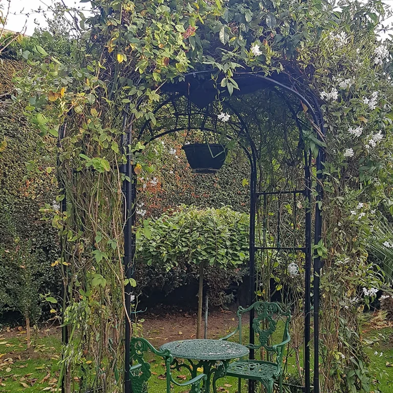 Garden Care Tools Deals Store -Garden Care Tools Deals Store 13526254 8744935041309094 768x768 1